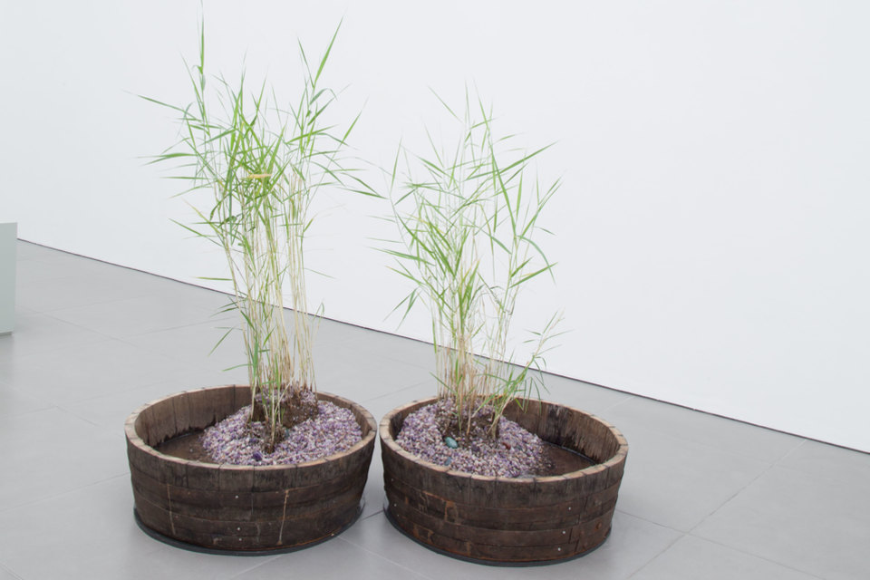 Hannah Lees, our life, that temporary eclipse to that other, 2015 Hannah Lees, our life, that temporary eclipse to that other, mixed media 2015, Cell Project Space