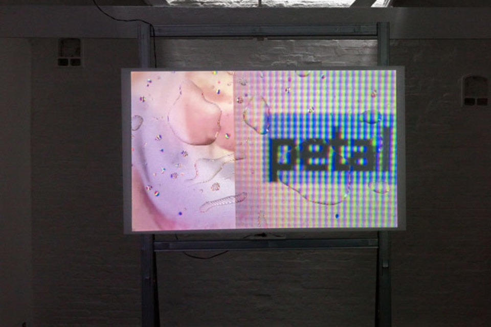 Harry Sanderson, We Are The Human Network (smoke rare-earth petal), three channel video, Amplifier board, Bone Conductor Transducer, 850mAh Lithium Ion Polymer Battery, Stereo Headphone Jack, Slide Switch, MDF, metal stud, 2015, Cell Project Space