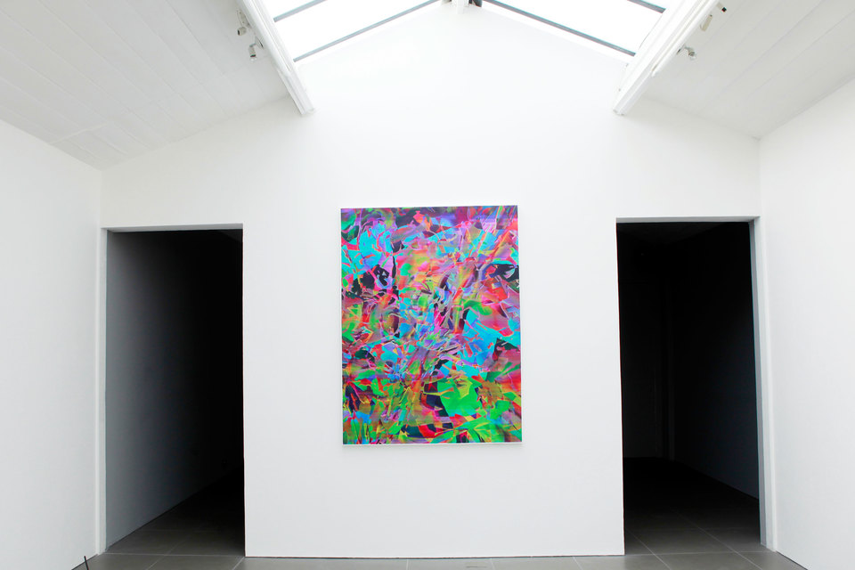 Travess Smalley, Alta Dark, 2012 Travess Smalley, Alta Dark, 2012, 173 x 140 cm, Digital print on silk, Cell Project Space