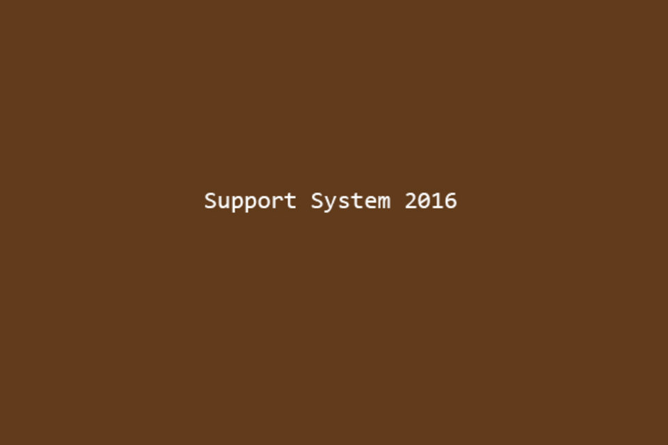 Support System 2016 Carolyn Lazard