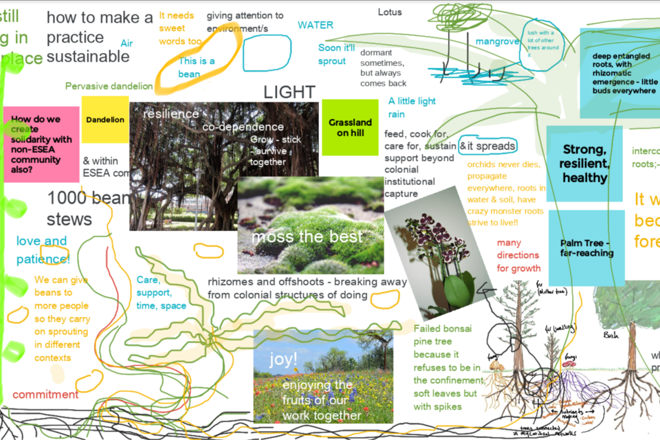 Collective Mapping of Eco-System, AAA Zoom Luck Workshop, 28 Mar 2021, led by Bettina Fung and Youngsook Choi