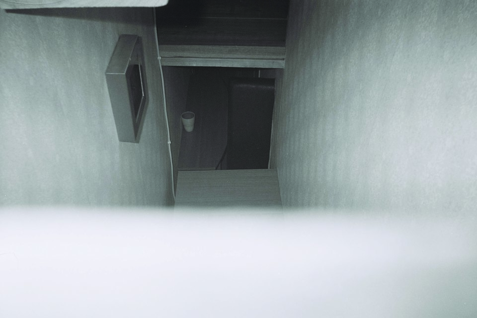 Reversion Poster, Ksenia Pedan, 2023