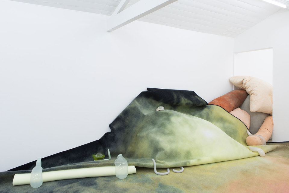 Julia Crabtree & William Evans, Gullet, 2017, Installation View, Cell Project Space Julia Crabtree & William Evans, Gullet, 2017, Installation View, Cell Project Space