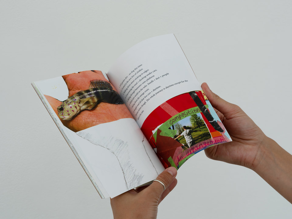 'A Finely Tuned Battery of Senses' publication documentation