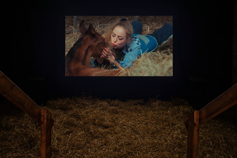 Josefin Arnell, Beast and Feast, Installation View, 2023, HD video, 25:10, single-channel video installation