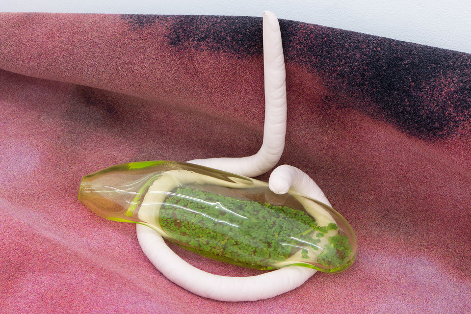 Julia Crabtree & William Evans, Marginalia, 2017 (Detail), Cell Project Space Julia Crabtree & William Evans, Marginalia, 2017 (Detail), Cell Project Space