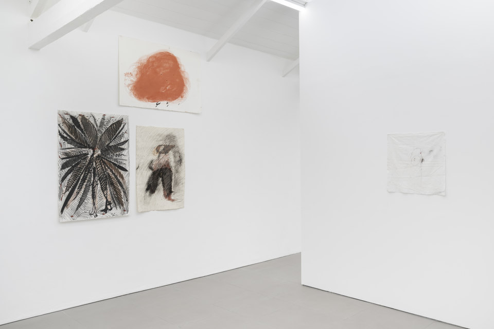 Armineh Negahdari, Exhibition view, The Living River, 2026, Cell Project Space, 2026