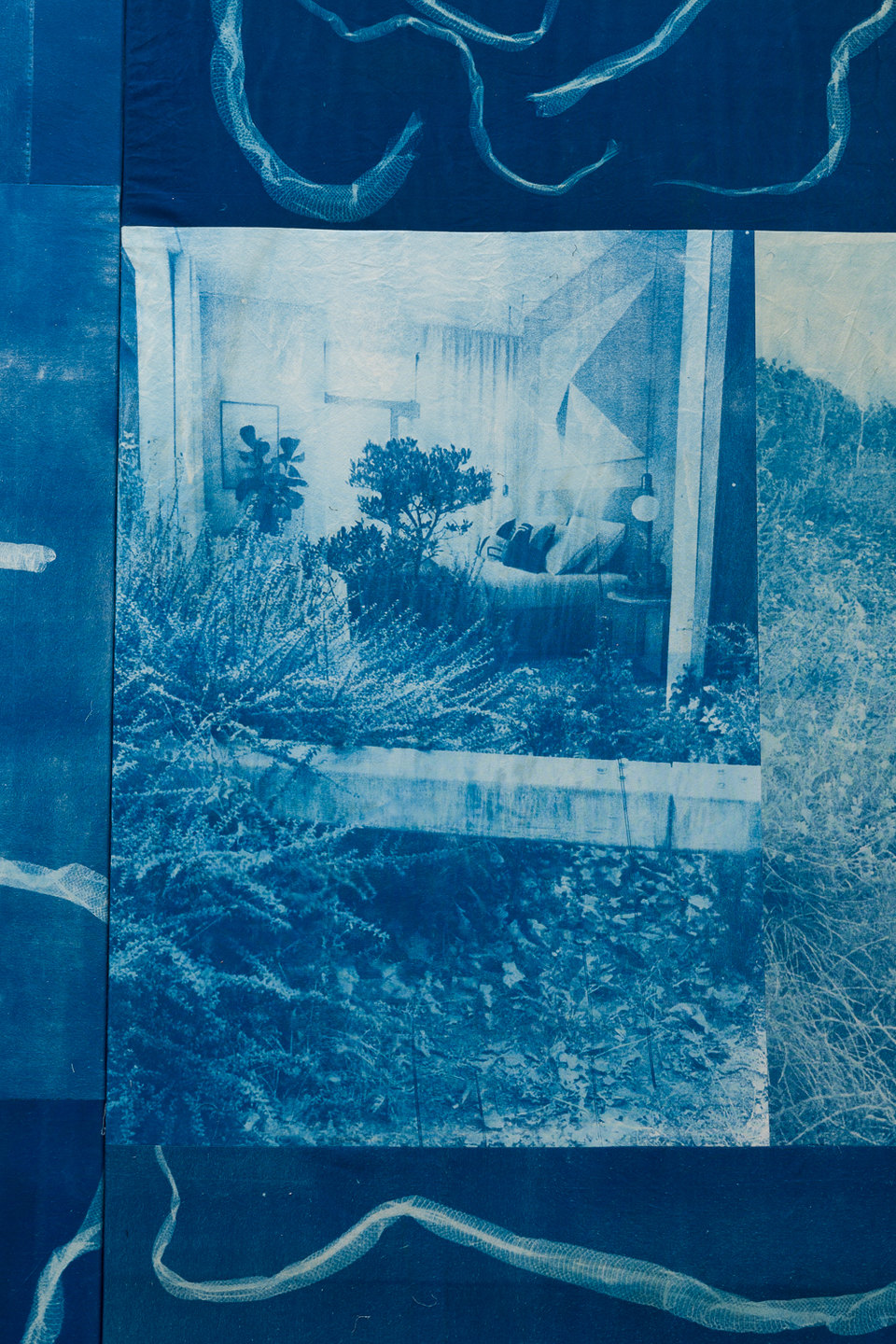 Felix Melia, Detail  'Plant Bed', from 'Stages', 2022, cyanotype print on cotton