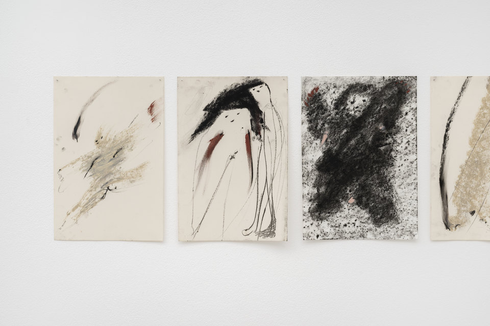 Armineh Negahdari, Du cocon à l’envol (detail), 2026, 14 drawings of 20 x 30 cm, Cell Project Space, 2026