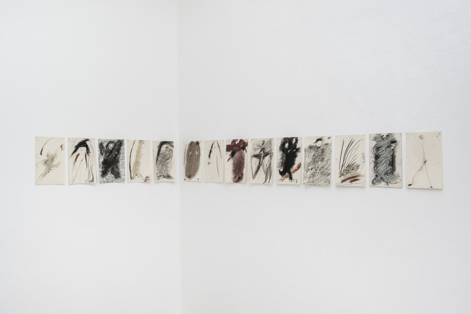 Armineh Negahdari, Du cocon à l’envol, 2026, 14 drawings of 20 x 30 cm, Cell Project Space, 2026
