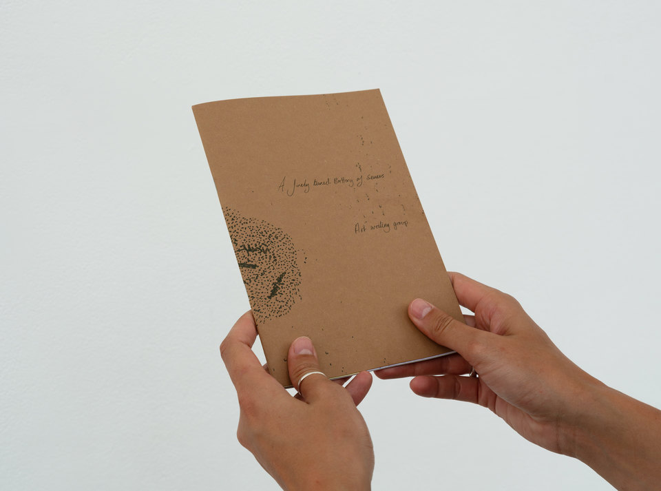 'A Finely Tuned Battery of Senses' publication documentation