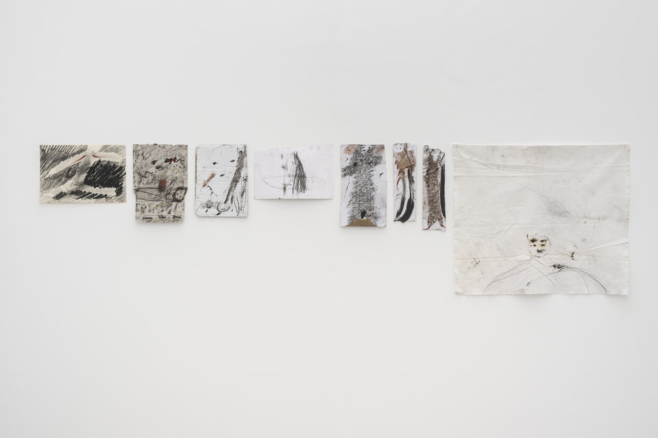 Armineh Negahdari, Exhibition view, The Living River, 2026, Cell Project Space, 2026