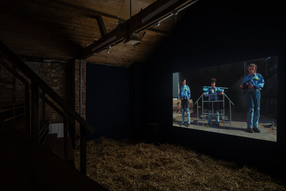 Josefin Arnell, Beast and Feast, Installation View, 2023, HD video, 25:10, single-channel video installation