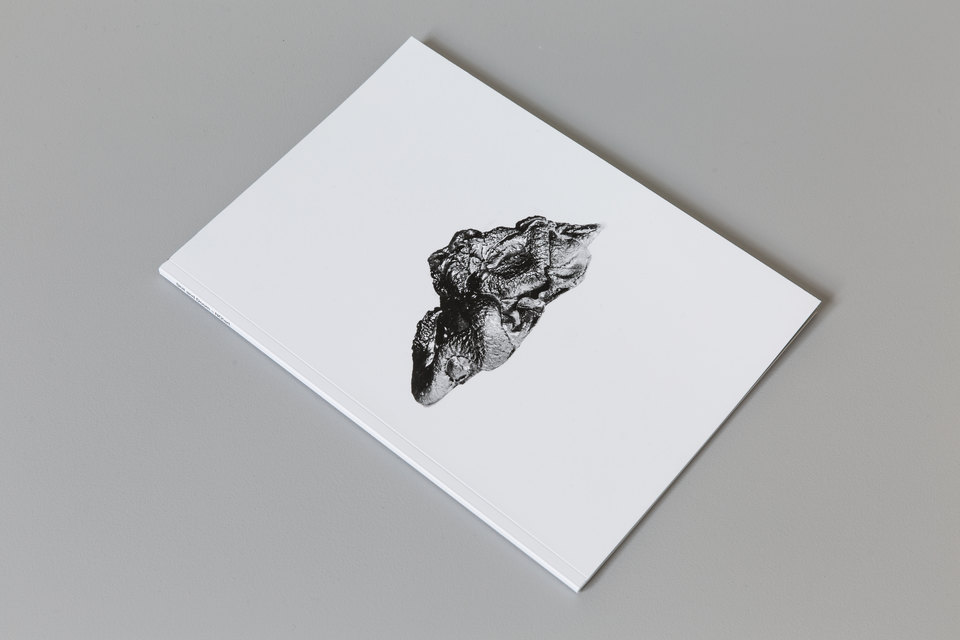 Shit and Doom - NO!art, 2019, Cell Project Space Shit and Doom - NO!art, 2019, Cell Project Space