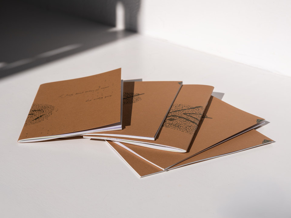 'A Finely Tuned Battery of Senses' publication documentation
