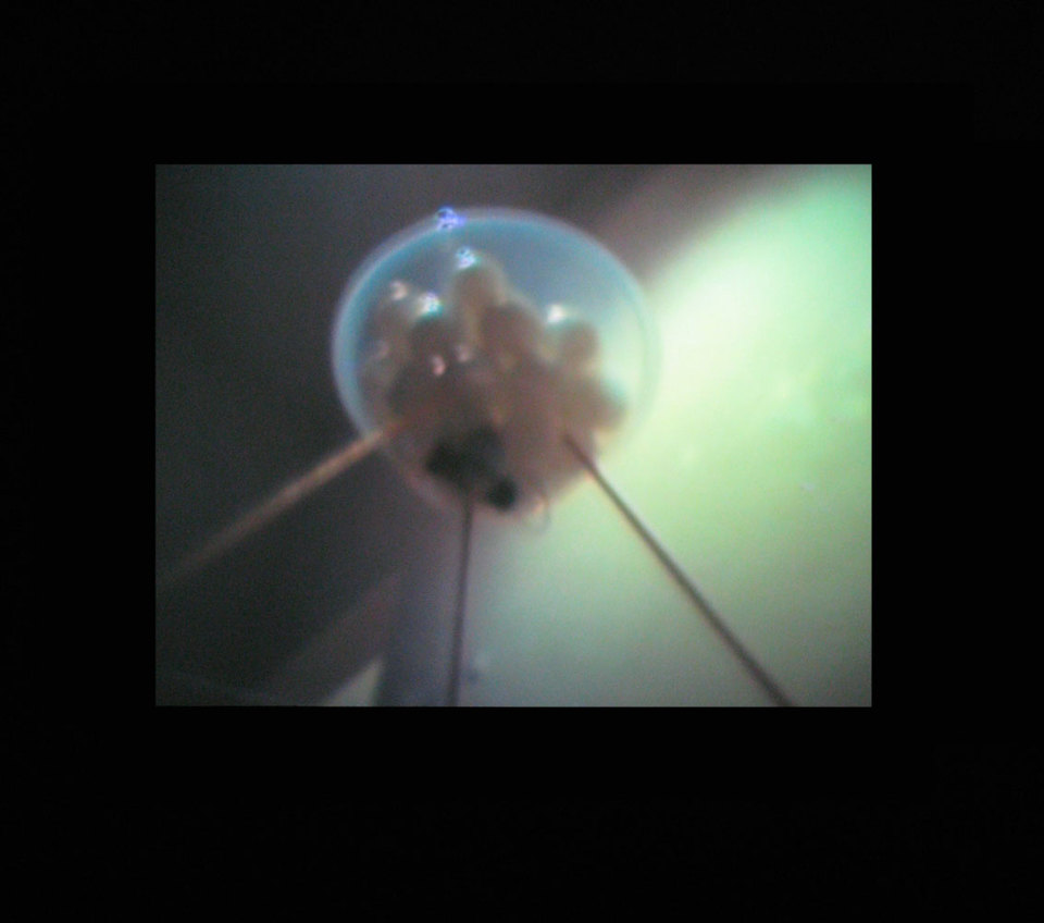 Alex Pearl still 'Automic Film 7 (project)', digital video