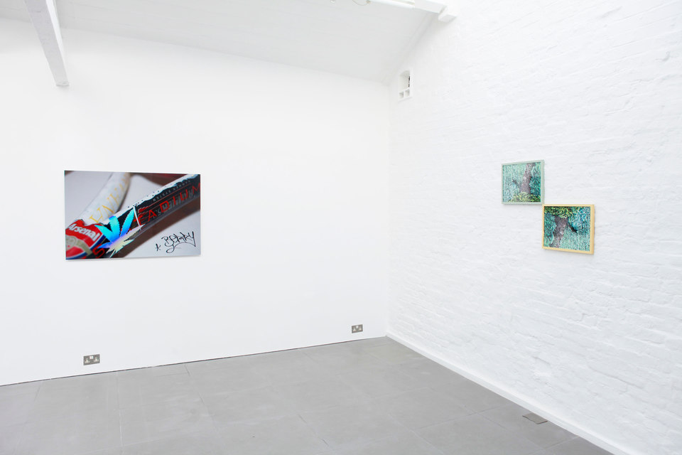 Chimera Q.T.E, Installation View, Cell Project Space 