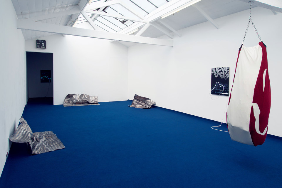 Florian Auer, BABIES ARE BORN AT NIGHT, 2013, installation view