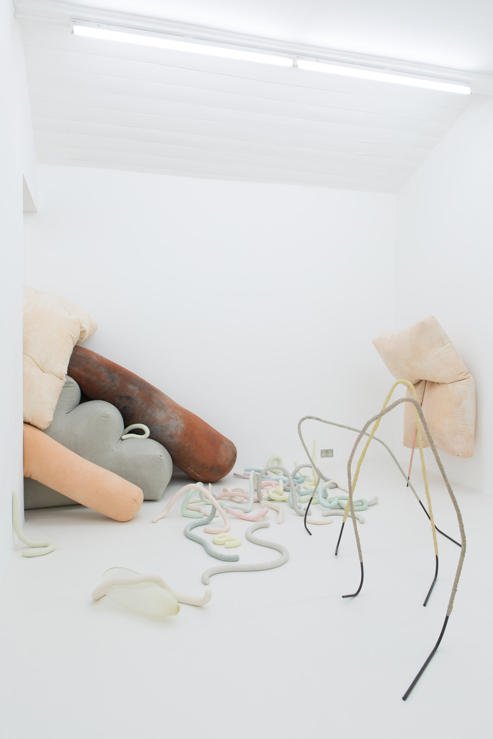 Julia Crabtree & William Evans, Gullet, 2017, Installation View, Cell Project Space Julia Crabtree & William Evans, Gullet, 2017, Installation View, Cell Project Space