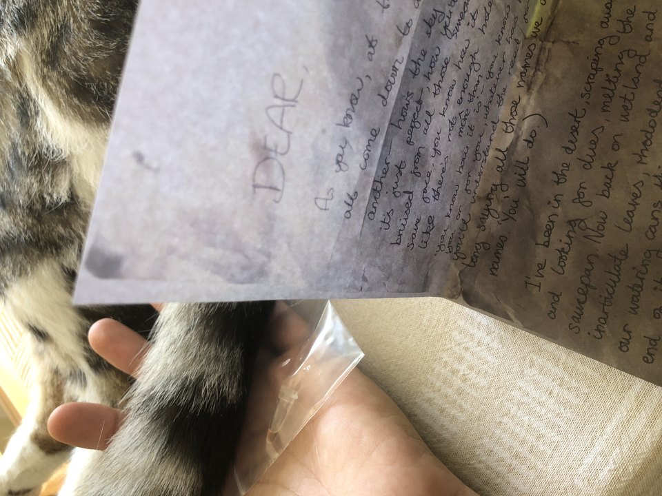Alex Margo Arden & Caspar Heinemann, Queer Correspondence #1, 2020. Image submitted by Marina Doritis from London, UK.  Alex Margo Arden & Caspar Heinemann, Queer Correspondence #1, 2020, Cell Project Space
