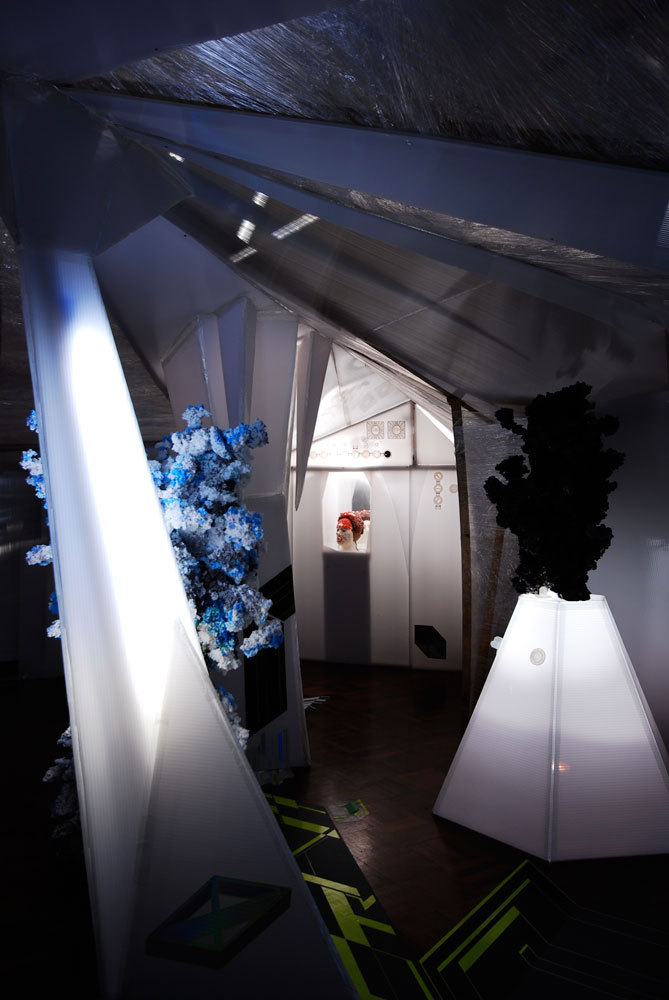 Richard Priestley, Installation 'Straylight Cavern 2009', Mixed Media