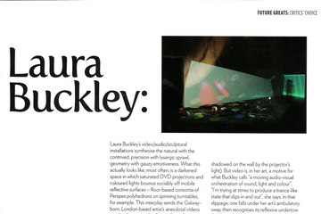 Laura Buckley, Future Greats, Martin Herbert, 2011, Art Review